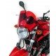 nose screen 24 cm ermax for 650 BANDIT N 05/08 - 1200/1250 N 06/09 (+ fitting kit S ) grey