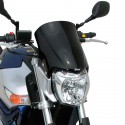nose screen (30cm+kit of fix.et brackets metallic ) ermax for GSR 600 2006-2007 grey