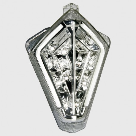 white led taillight with neon for yzf R1 2007/2008 E11