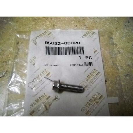 9502206020 YAMAHA VARŽTAS