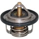 Termostatas 3GM-12410-00