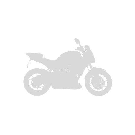 original screen ermax for rsv 50/125/1000 tuono 2003/2005 black dark