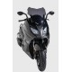 sport screen (41cm ) ermax for C 650 sport 2016-2019 grey