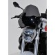 nose screen (adaptable only on fixing du nose screen bmw ) ermax for R 1200 R 2015-2018 fum√©