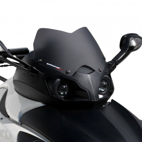 sport screen ermax for SPYDER RS/RSS 990 2008-2012 grey
