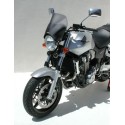 nose screen speedmax (25cm for Monstro ) clear