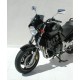 nose screen (22cm for ZR 7 ) ermax for ROXY 2008-2009 clear