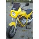 nose fairing screen ermax for RS 02 2000-2005 light brown