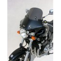 freeway windshield (H 50cm X L 60cm without fixation ) clear