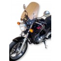 windscreen rider (H 50cm X L 42cm ) fum√©