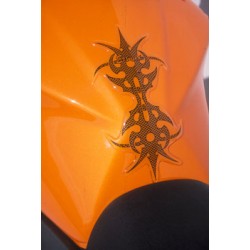 protection of r√©servoir tribal Two black