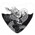 S√©rigraphie black dragon for nose screen